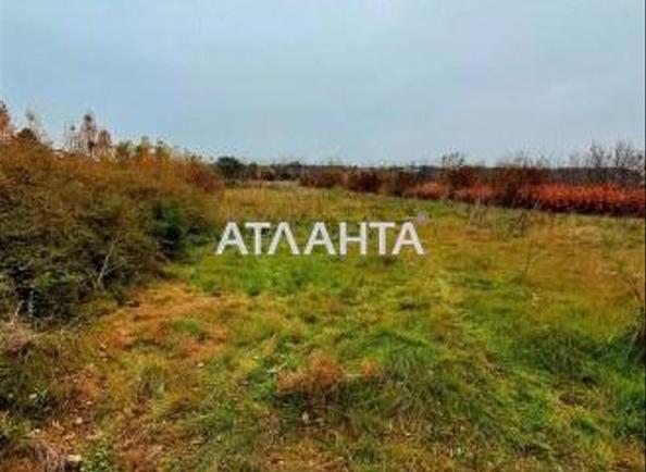 Ділянка за адресою (площа 10 сот) - Atlanta.ua - фото 2