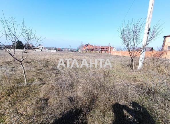 Ділянка за адресою вул. Центральна (площа 5,5 сот) - Atlanta.ua - фото 2