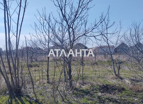 Участок по адресу ул. Массив №11 (площадь 5 сот) - Atlanta.ua - фото 5