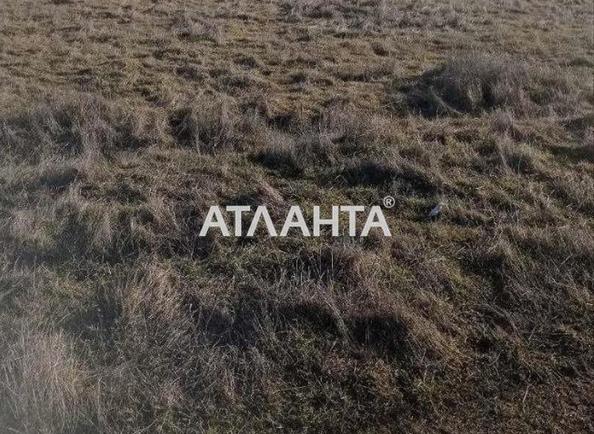 Landplot by the address st. Vinnichenko (area 7,4 acr) - Atlanta.ua - photo 3