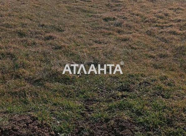 Участок по адресу ул. Рождественская (площадь 10 сот) - Atlanta.ua - imageAlt 3