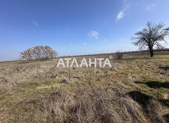 Будинок за адресою вул. Леніна (площа 44,6 м²) - Atlanta.ua - фото 17