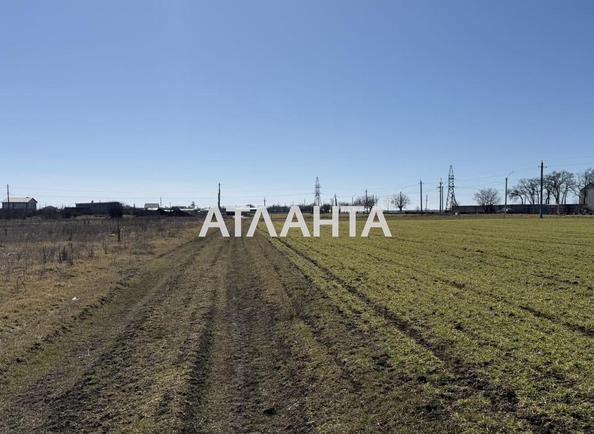 Landplot by the address st. 34 ya liniya (area 5,9 acr) - Atlanta.ua - photo 6