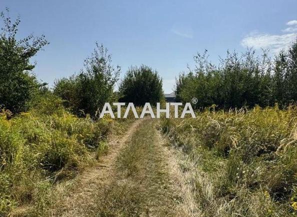 Участок по адресу ул. Енковская (площадь 10 сот) - Atlanta.ua - фото 5