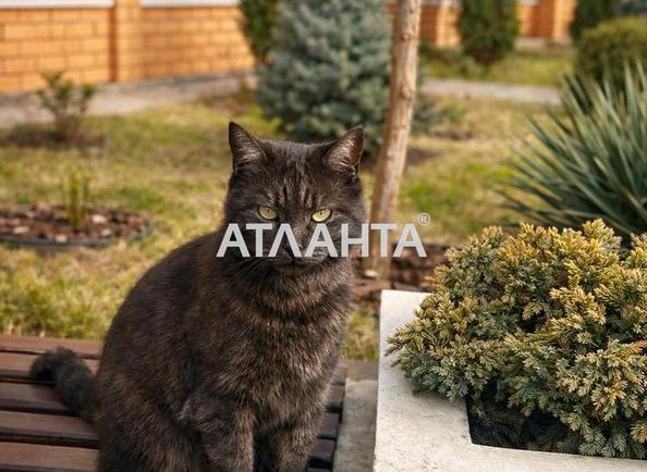 1-room apartment apartment by the address st. Sofievskaya (area 44 m²) - Atlanta.ua - imageAlt 19