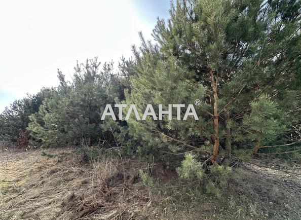 Участок по адресу ул. Солнечная (площадь 78 сот) - Atlanta.ua