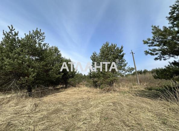 Участок по адресу ул. Солнечная (площадь 78 сот) - Atlanta.ua - фото 2