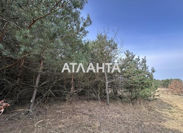 Участок по адресу ул. Солнечная (площадь 78 сот) - Atlanta.ua - фото 3