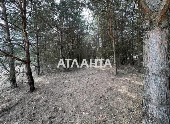Участок по адресу ул. Солнечная (площадь 78 сот) - Atlanta.ua - фото 4