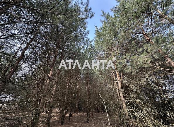 Участок по адресу ул. Солнечная (площадь 78 сот) - Atlanta.ua - фото 5