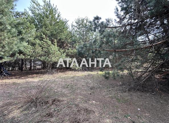 Участок по адресу ул. Солнечная (площадь 78 сот) - Atlanta.ua - фото 7