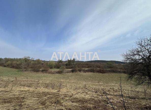 Участок по адресу ул. Солнечная (площадь 78 сот) - Atlanta.ua - фото 8