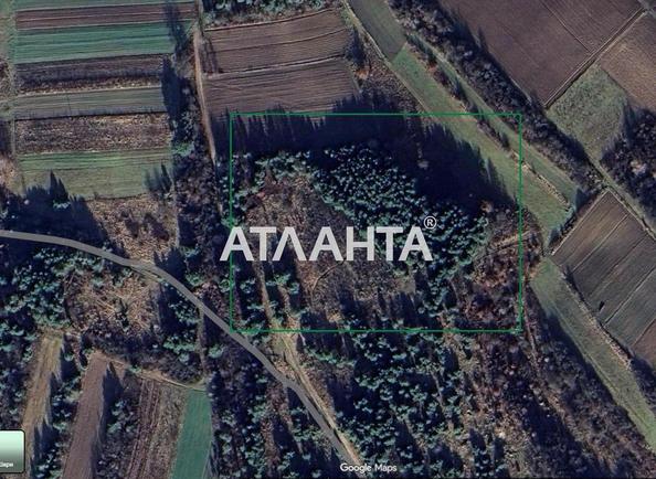 Участок по адресу ул. Солнечная (площадь 78 сот) - Atlanta.ua - фото 9