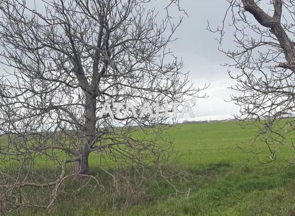 Коммерческая недвижимость по адресу ул. Массив №13 (площадь 0) - Atlanta.ua - imageAlt 2