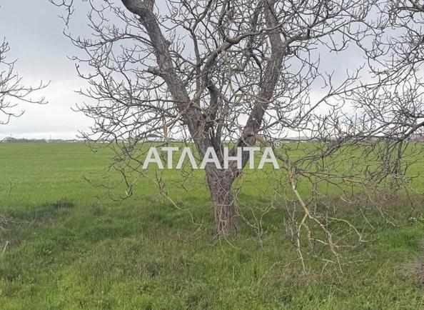 Коммерческая недвижимость по адресу ул. Массив №13 (площадь 0) - Atlanta.ua - imageAlt 3