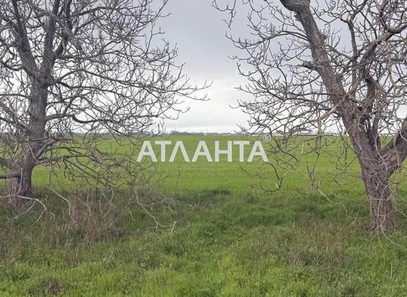 Коммерческая недвижимость по адресу ул. Массив №13 (площадь 0) - Atlanta.ua - imageAlt 4
