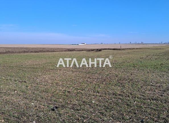 Ділянка за адресою вул. Тичини Павла (площа 8,0 сот) - Atlanta.ua - фото 4