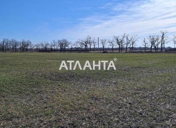 Ділянка за адресою вул. Тичини Павла (площа 8,0 сот) - Atlanta.ua - фото 5