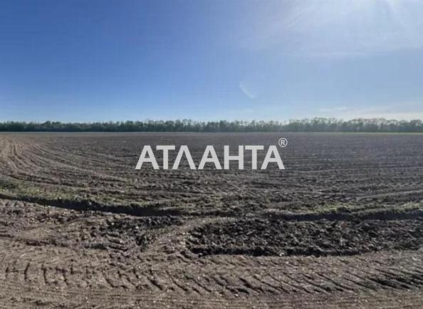 Участок по адресу (площадь 220 сот) - Atlanta.ua - фото 5