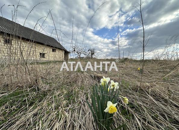 Участок по адресу ул. Бабия Зеновия (площадь 32 сот) - Atlanta.ua - imageAlt 2