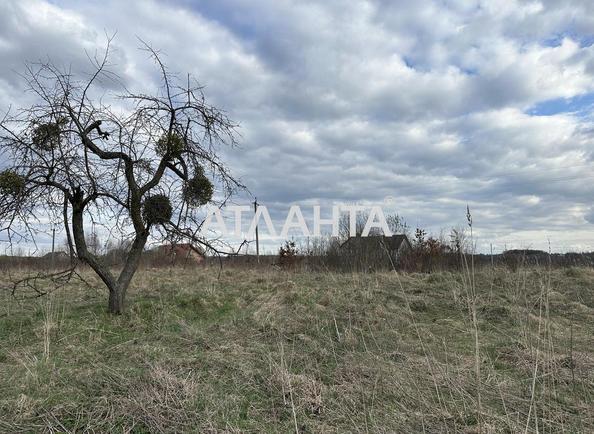 Участок по адресу ул. Бабия Зеновия (площадь 32 сот) - Atlanta.ua - imageAlt 7