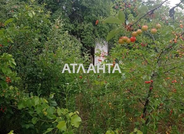 Участок по адресу ул. Кузнечная (площадь 9 сот) - Atlanta.ua - фото 3