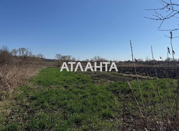 Участок по адресу ул. Зои Космодемянськои (площадь 24 сот) Участок по адресу ул. Зои Космодемянськои (площадь 24 сот) - Atlanta.ua