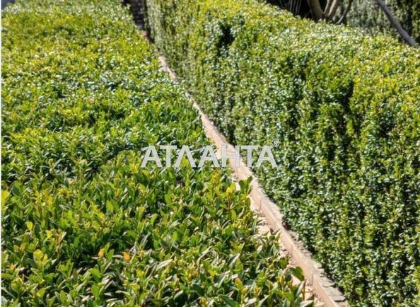 Дом по адресу (площадь 72 м²) - Atlanta.ua - imageAlt 13