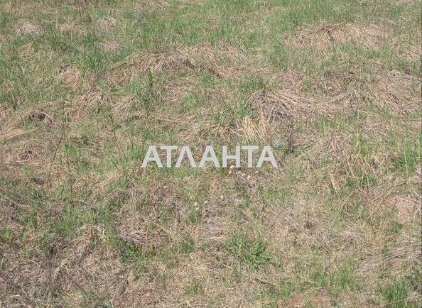 Участок по адресу (площадь 10 сот) - Atlanta.ua