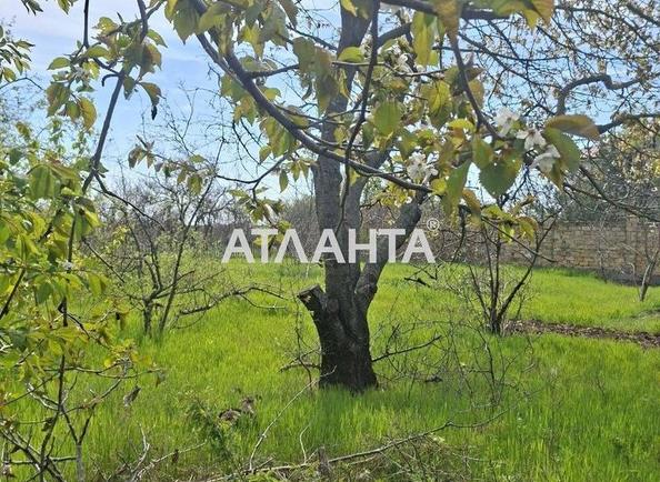 Участок по адресу Ореховый пер. (площадь 6 сот) - Atlanta.ua