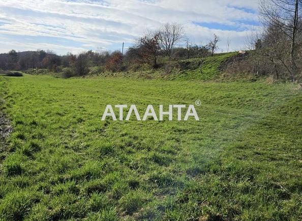 Участок по адресу ул. Центральная (площадь 41 сот) - Atlanta.ua - фото 3