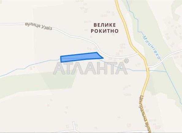 Участок по адресу ул. Центральная (площадь 41 сот) - Atlanta.ua - фото 2