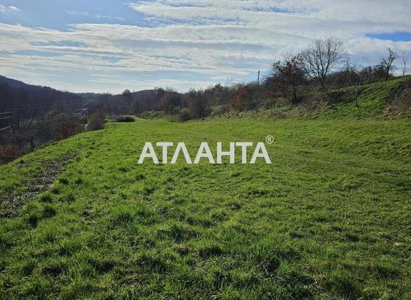 Участок по адресу ул. Центральная (площадь 41 сот) - Atlanta.ua - фото 4