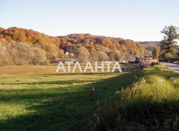 Участок по адресу ул. Центральная (площадь 41 сот) - Atlanta.ua