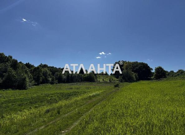 Участок по адресу ул. Центральная (площадь 41 сот) - Atlanta.ua - фото 5
