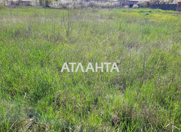 Участок (площадь 10 сот) - Atlanta.ua - imageAlt 6
