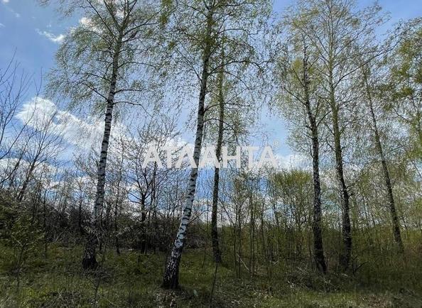 Участок по адресу (площадь 14 сот) - Atlanta.ua - imageAlt 5