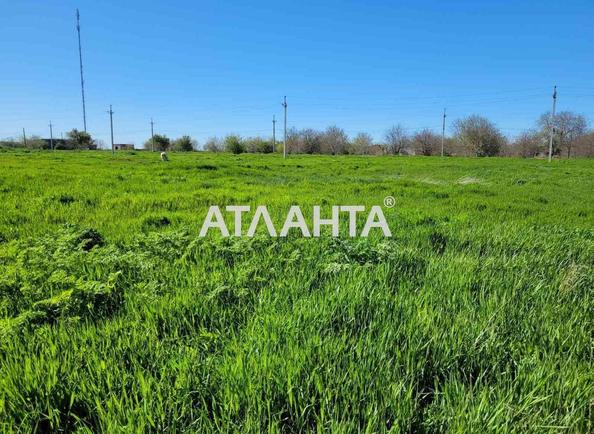 Участок (площадь 42 сот) - Atlanta.ua - фото 3