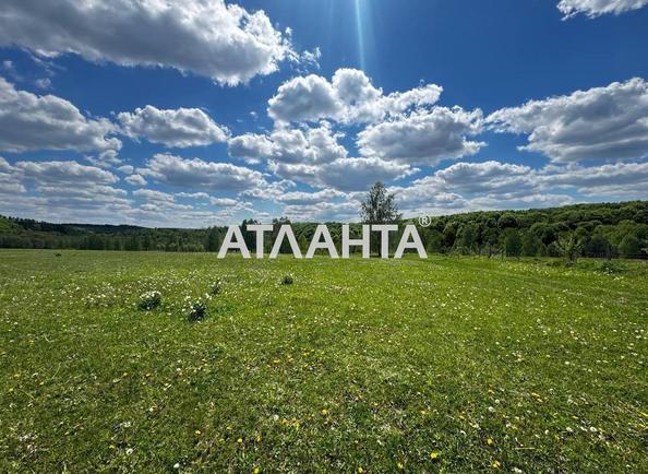 Участок по адресу ул. Холявинских (площадь 50 сот) - Atlanta.ua - imageAlt 2