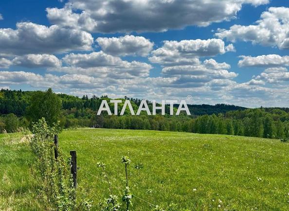 Участок по адресу ул. Холявинских (площадь 25 сот) - Atlanta.ua - imageAlt 2