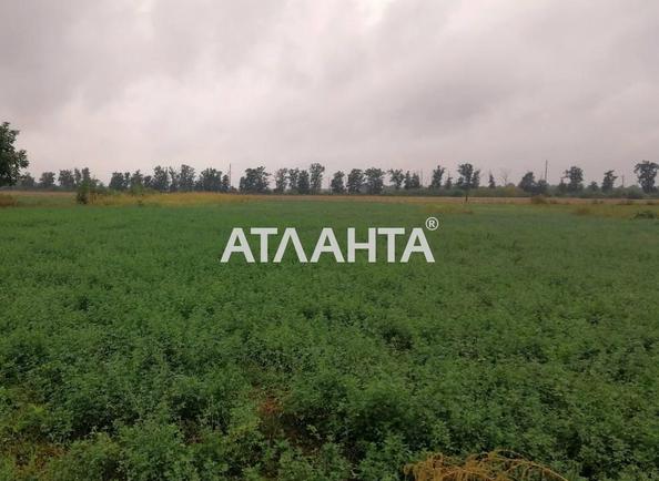Участок по адресу ул. Покровская (площадь 15 сот) - imageAlt 3 Участок по адресу ул. Покровская (площадь 15 сот) - Atlanta.ua - imageAlt 3