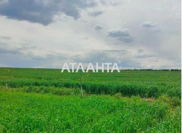 Участок по адресу ул. Песочная (площадь 6,8 сот) - imageAlt 4 Участок по адресу ул. Песочная (площадь 6,8 сот) - Atlanta.ua - imageAlt 4