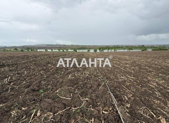 Участок по адресу Чкалова Валерія пров. (площадь 12,5 сот) Участок по адресу Чкалова Валерія пров. (площадь 12,5 сот) - Atlanta.ua