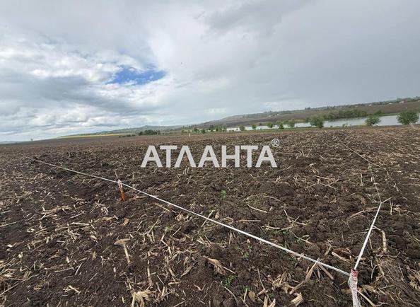 Участок по адресу Чкалова Валерія пров. (площадь 12,5 сот) - фото 2 Участок по адресу Чкалова Валерія пров. (площадь 12,5 сот) - Atlanta.ua - фото 2