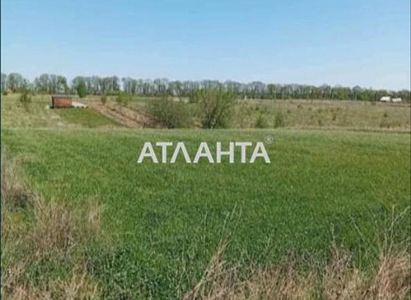 Участок по адресу ул. Ватутина (площадь 14,9 сот) Участок по адресу ул. Ватутина (площадь 14,9 сот) - Atlanta.ua