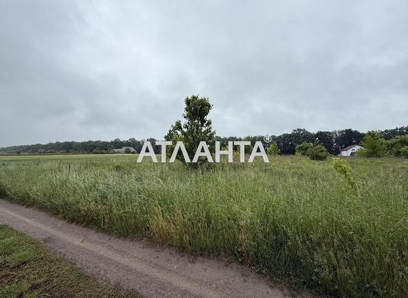 Участок по адресу ул. Ватутина (площадь 15 сот) - Atlanta.ua
