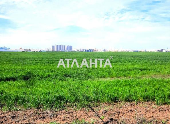 Участок по адресу (площадь 408,9 сот) - imageAlt 3 Участок по адресу (площадь 408,9 сот) - Atlanta.ua - imageAlt 3