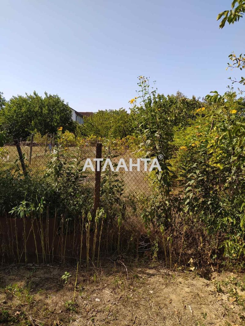 Landplot by the address st. Vinogradnaya (area 8,4 acr) - Atlanta.ua - photo 4