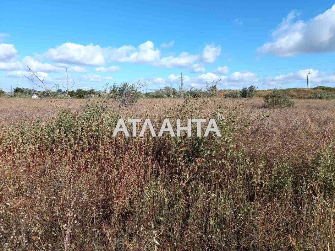 Landplot by the address st. Khmelnitskogo Bogdana (area 7 acr) - Atlanta.ua - photo 2