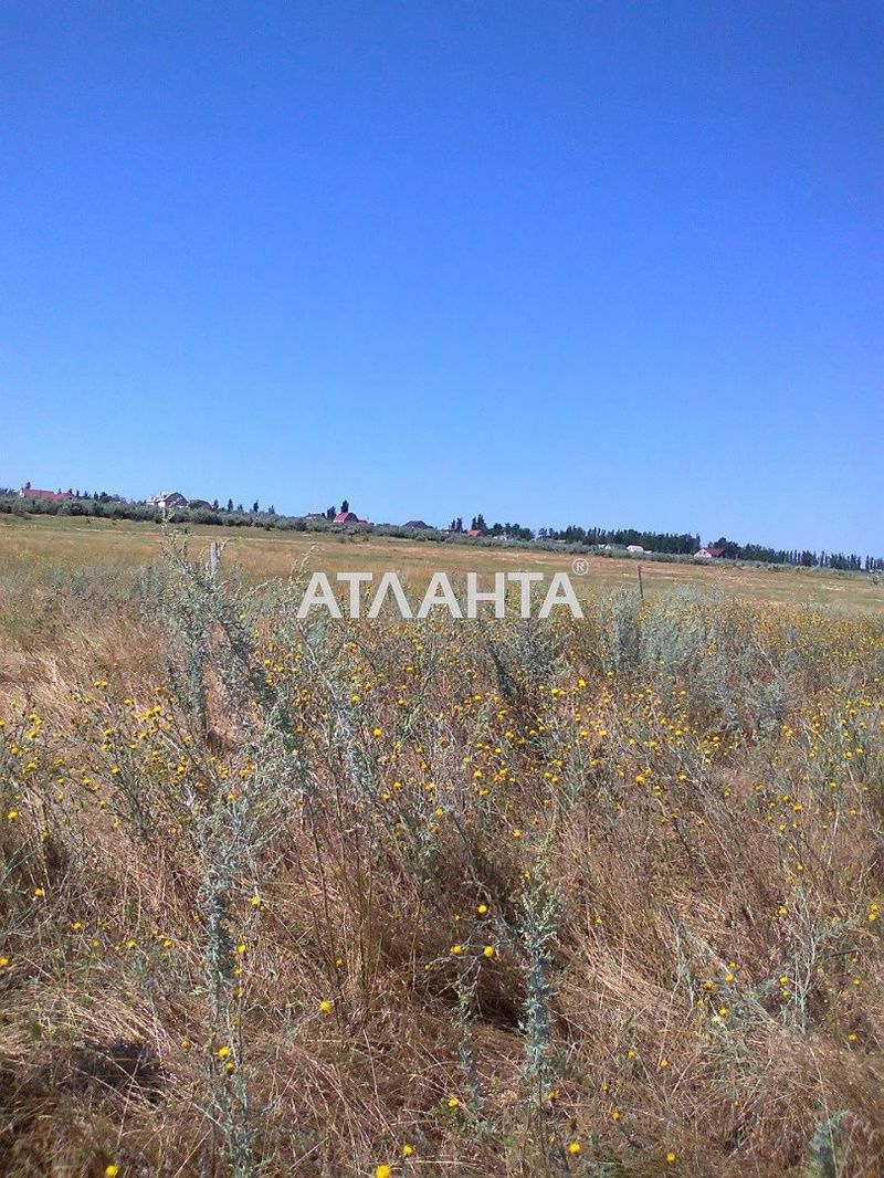 Landplot by the address st. Fruktovaya (area 7,6 acr) - Atlanta.ua - photo 2